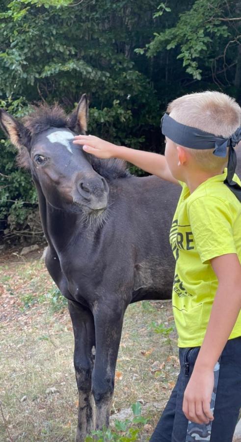 Katun Mokra Accommodation & Horseback Riding Podgoriçe Dış mekan fotoğraf
